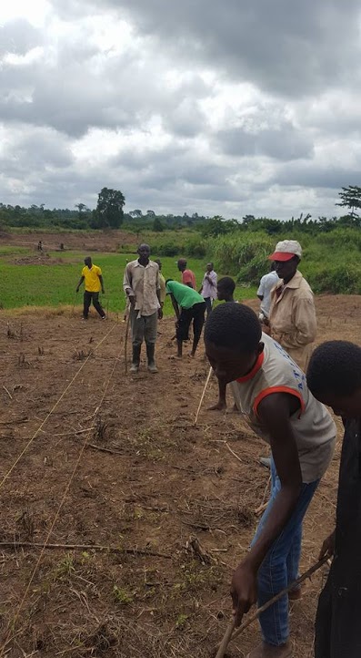 a group of farmers plant crops on demonstration plots