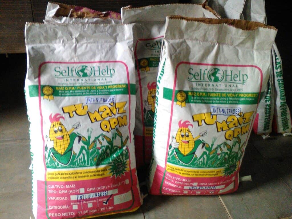 Nicaraguan Farmers Astounded by Quality and Quantity of Maize Production 1 Bolsas de semilla de maiz