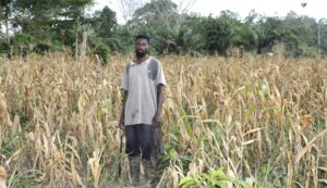 Delayed Rains Leave Maize Fields Empty