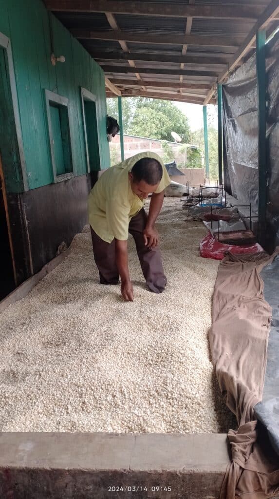"Being A Farmer Is My Passion" 2 Adán with his corn harvest.