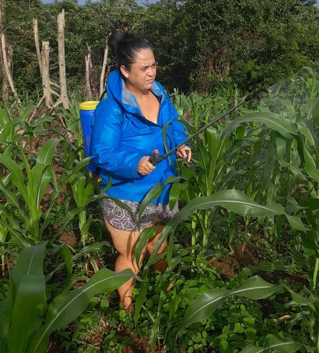 Heydi in her field of INTA-Nutrader corn.