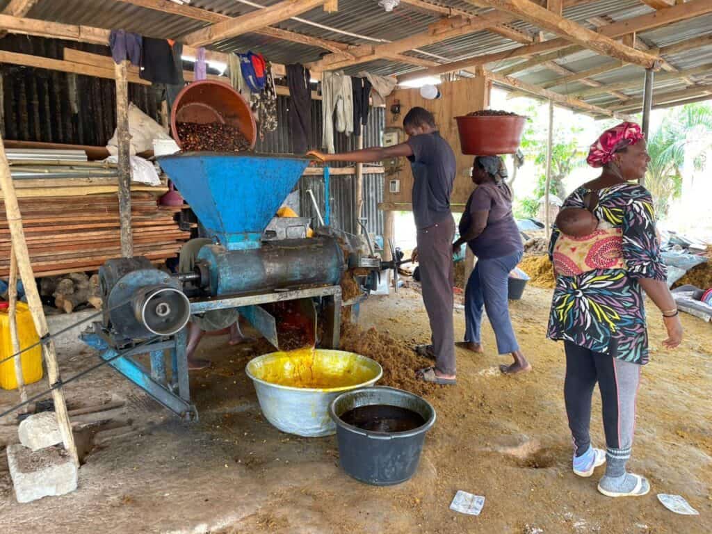 Palm Oil, Big Dreams, and the Power to Lift a Community 4 palm fruit digestor