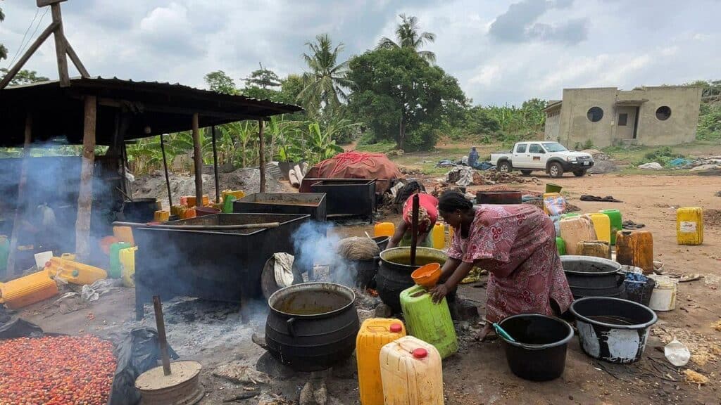 Palm Oil, Big Dreams, and the Power to Lift a Community 1 palm oil processing