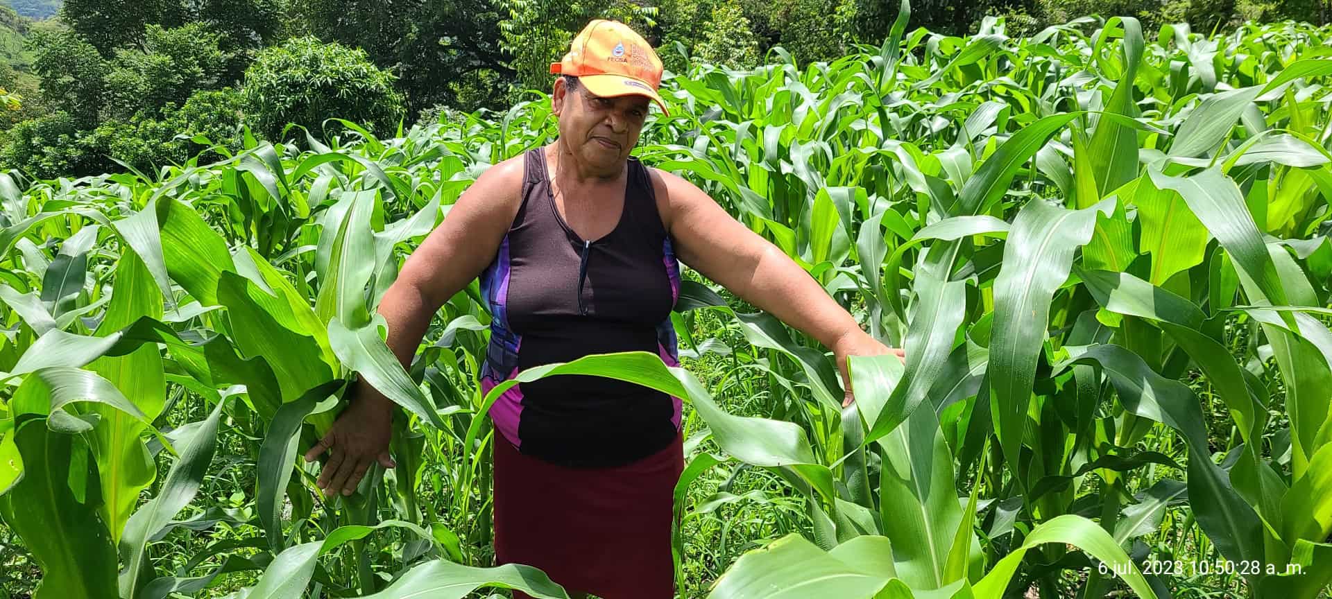 a woman in her corn field