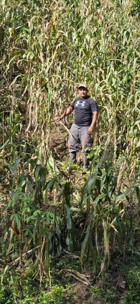 Erick stands in his corn field.