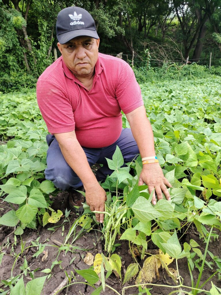 Reflections from Northern Nicaragua: Miguel 1 A farmer in his field.