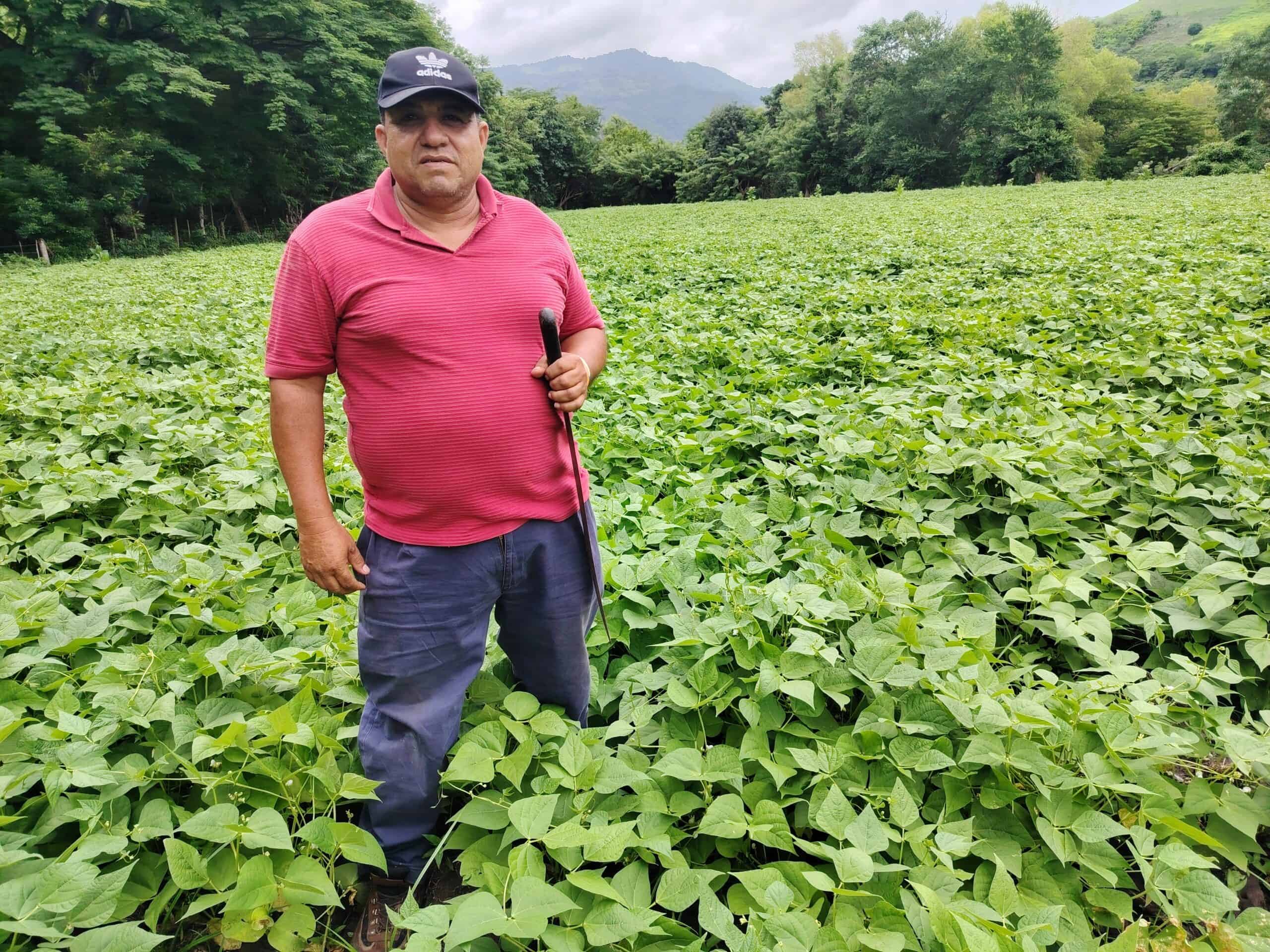 A famer standing in his field
