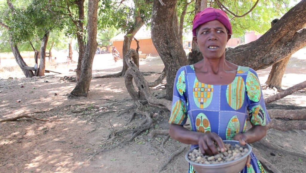 Euphemia, farmer in Ghana's Upper West Region.