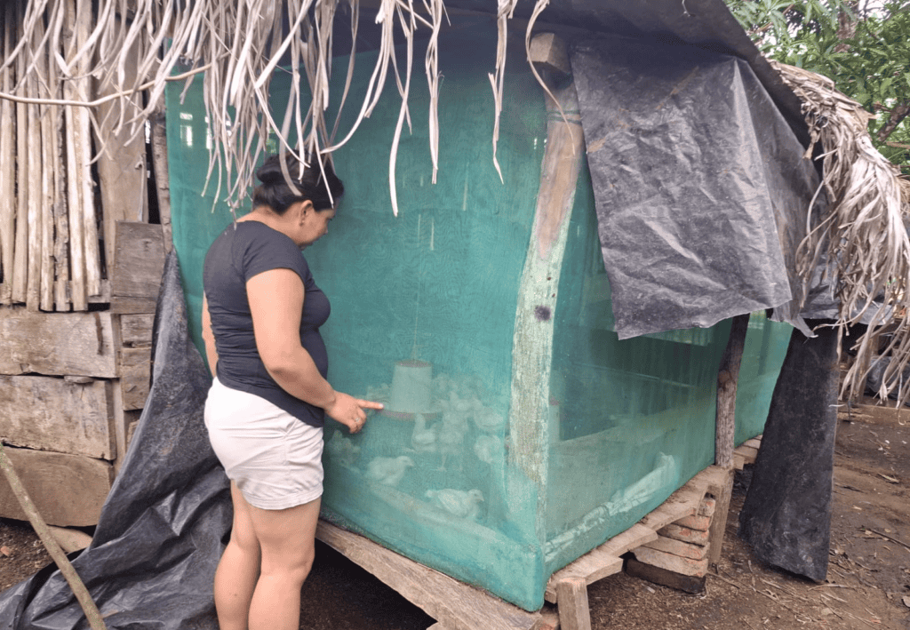 Working Hand-in-Hand with Self-Help International to Achieve My Goals 1 Idania checks in on her chicken coop.
