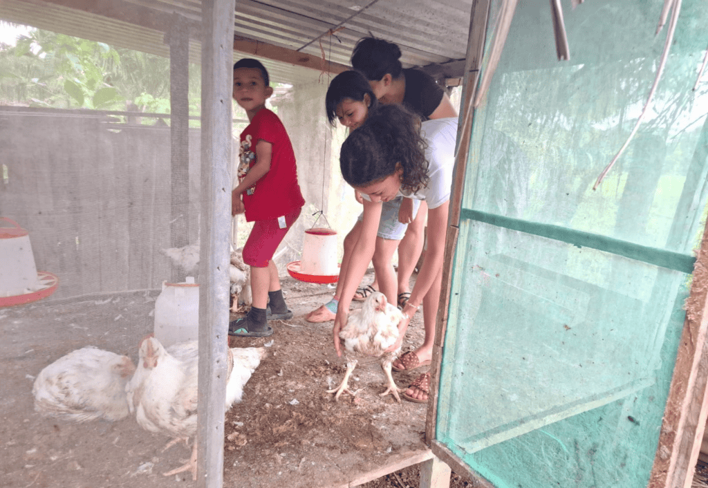 Working Hand-in-Hand with Self-Help International to Achieve My Goals 2 Idania's whole family helps care for their chickens.