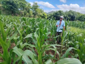 "Saving Seeds Makes Me Independent of Big Seed Providers" 2 IMG 20250812 095406