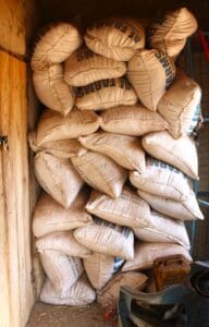 Jennifer's harvests have increased since she began working with Self-Help International.