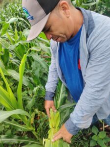 Growing My Skills With Self-Help International 1 Noel, from San Pedro de los Arenales, Nicaragua.