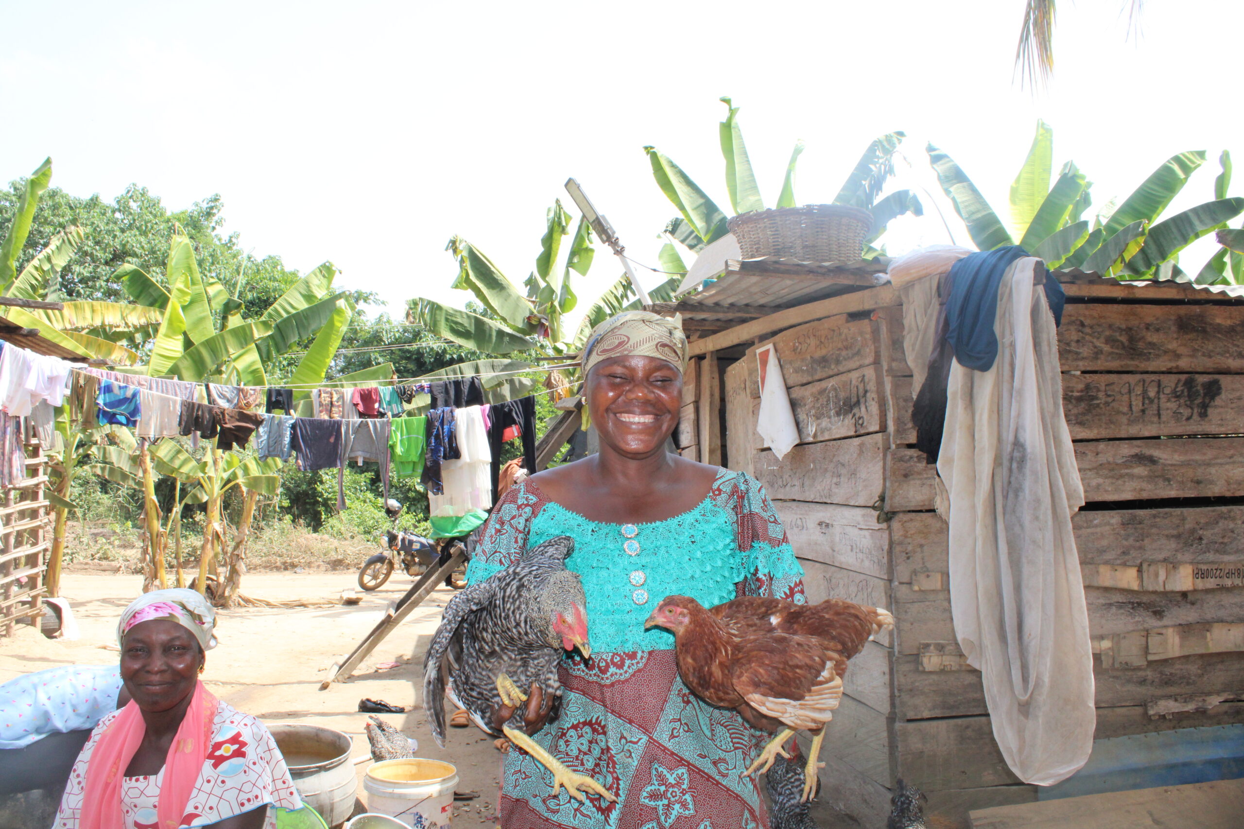 A woman in Ghana's Ashanti Region poses with her chickens.