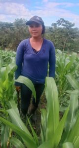 María stands in her corn field.